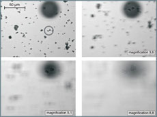 Using a trapped 45 μm bead as a 'loupe' to look at smaller beads