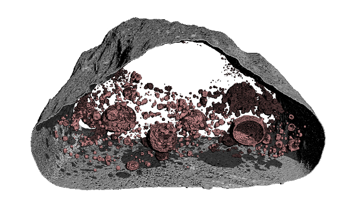 MicroCT_02.jpg
