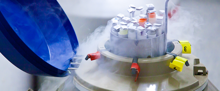 "mypoint_en_slider_2"