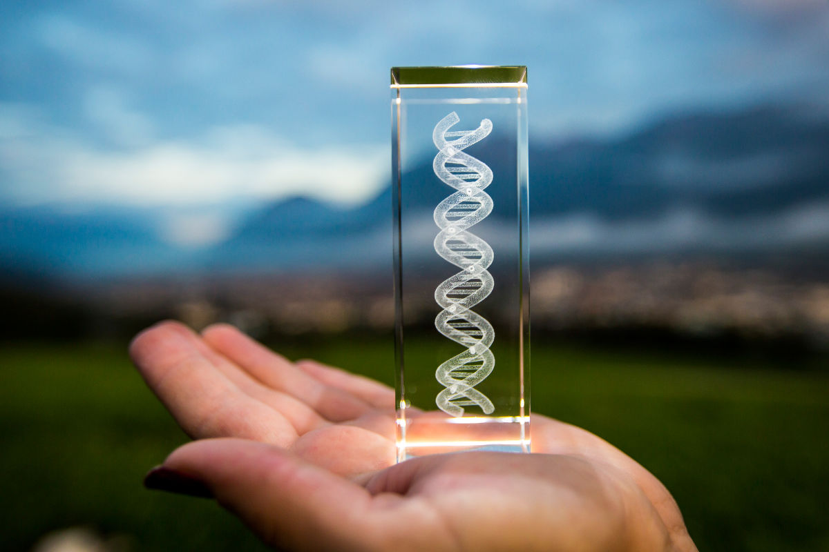 Doppelhelix (Foto: MUI/J.Hetfleisch)