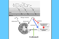 Eculizumab_presse_small Eculizumab_presse_small